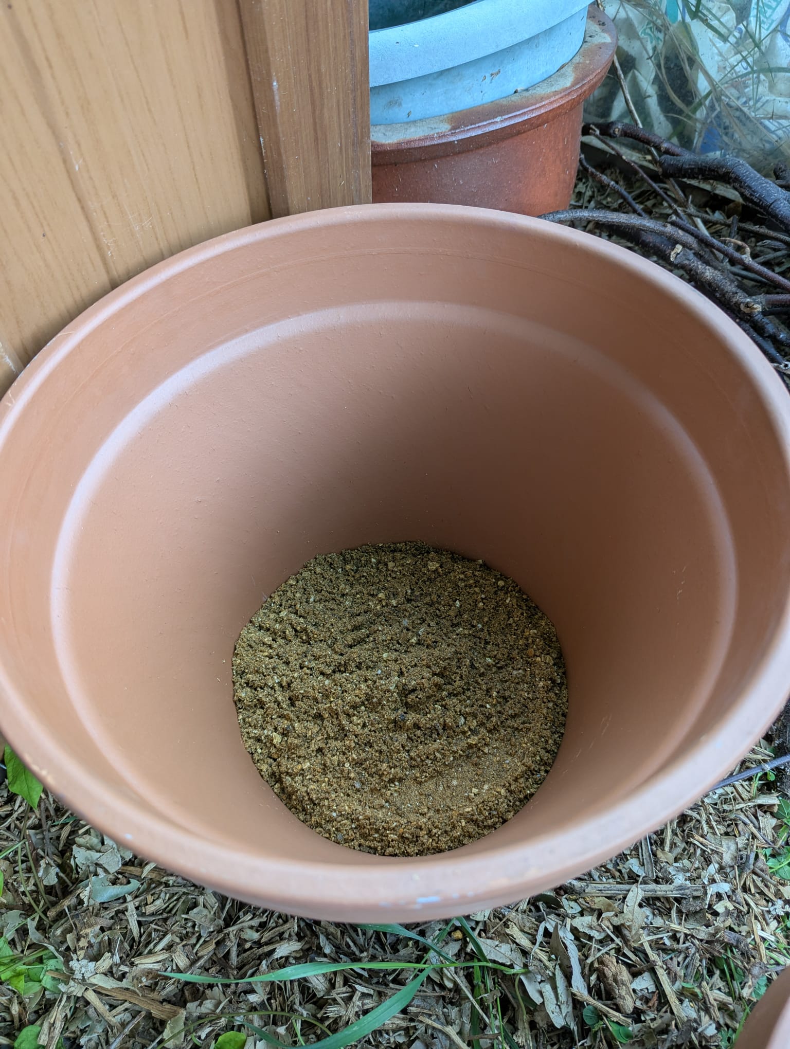 A terracotta pot with sand at the bottom